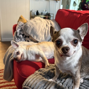 Fundraising Page: Kaitlyn Rogers